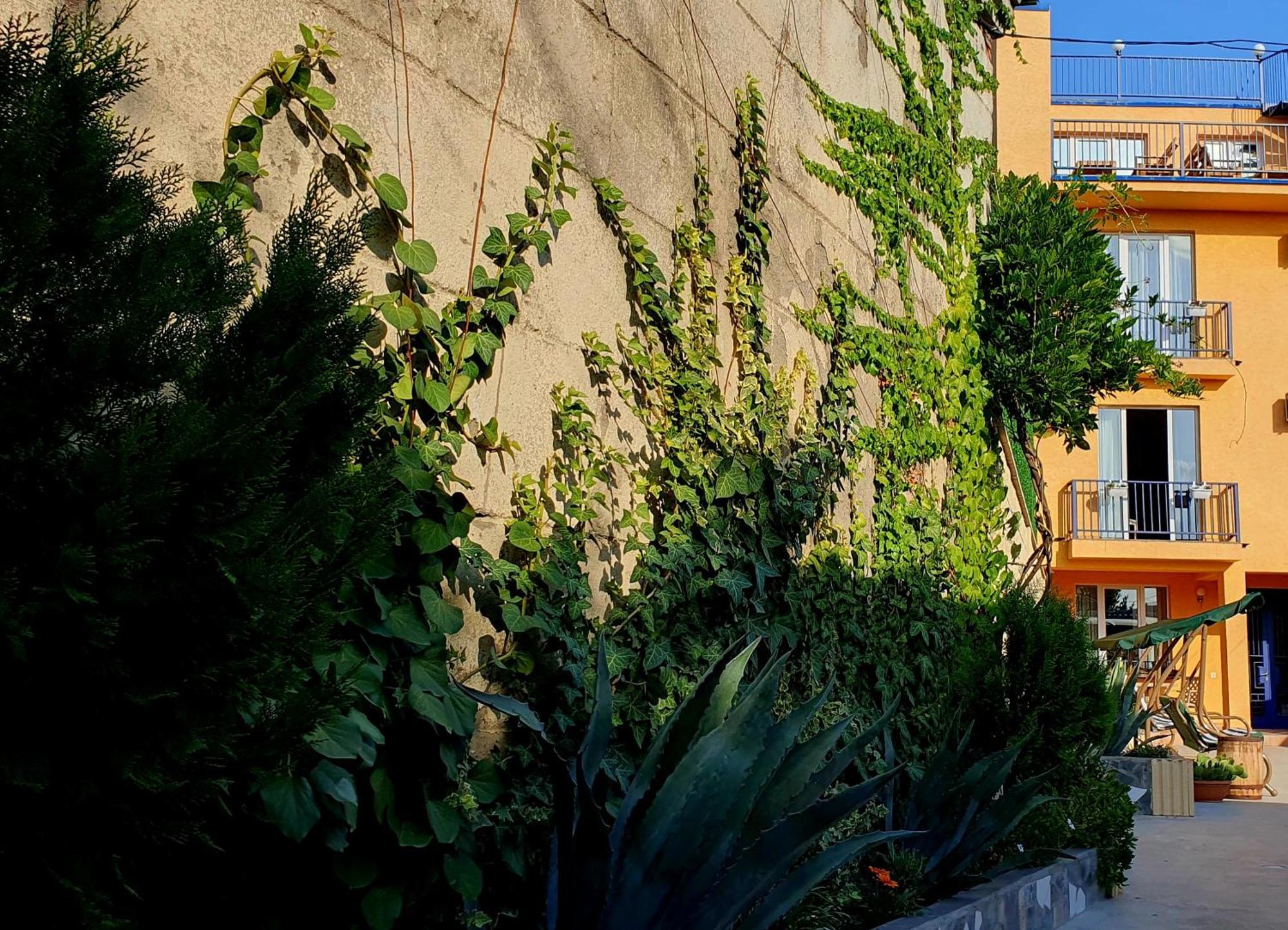 Hotel Hills In Old טביליסי מראה חיצוני תמונה